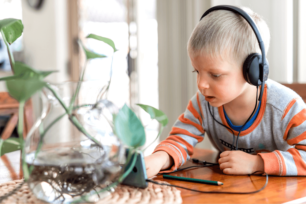 Existe autismo virtual?